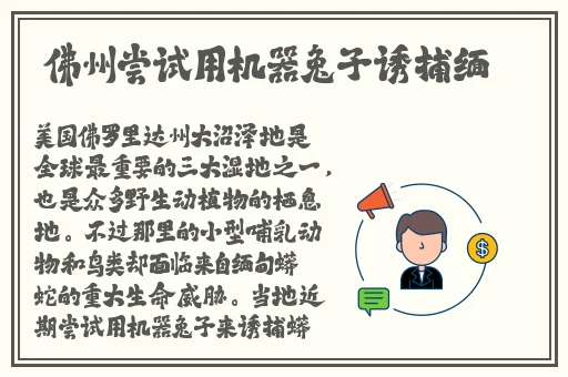 αss日本少妇高潮pⅰVS